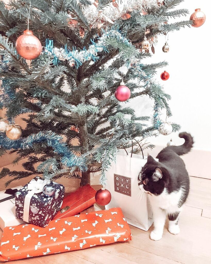 Image #1 from Mary S.