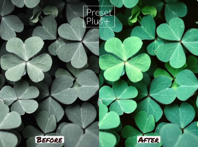 Photo 2022-03-16, 12 19 06 PM Photo 2022-03-16, 12 19 06 PM