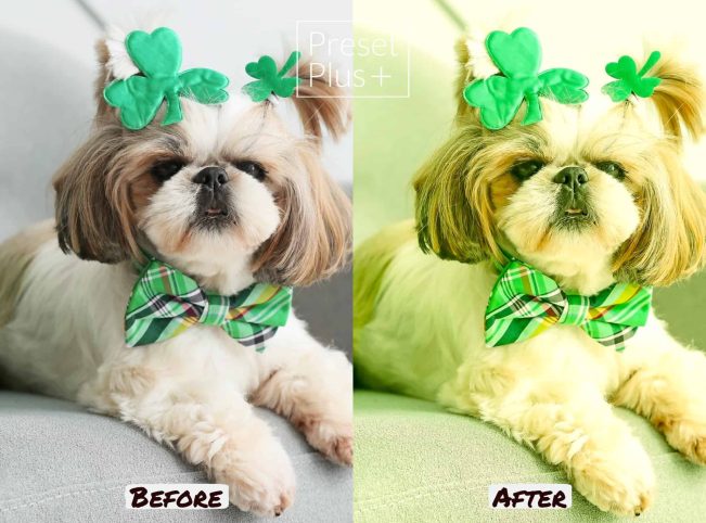 Photo 2022-03-16, 12 25 45 PM Photo 2022-03-16, 12 25 45 PM