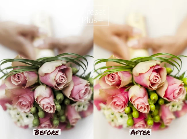 il_1588xN.3731922268_7edy.jpg il_1588xN.3731922268_7edy.jpg