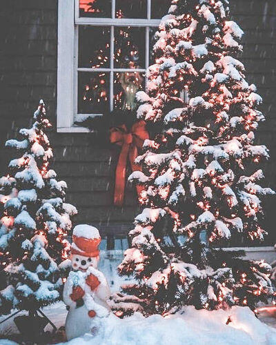 Image #1 from Carol H.