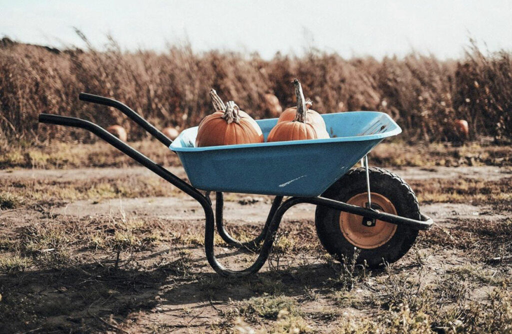 Image #1 from Paulster999