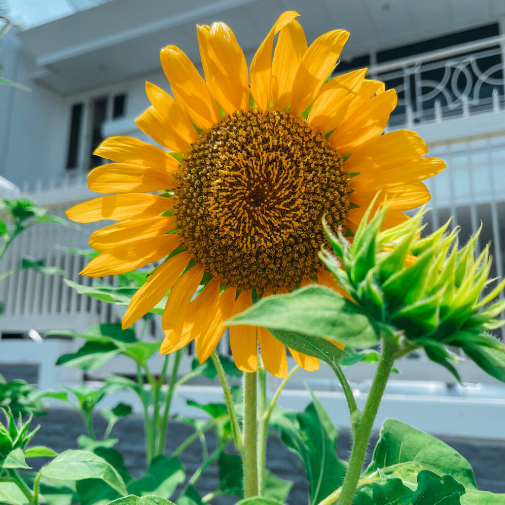 Image #1 from Ariel M.