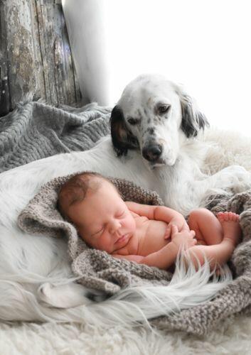 Image #1 from Rebecca P.