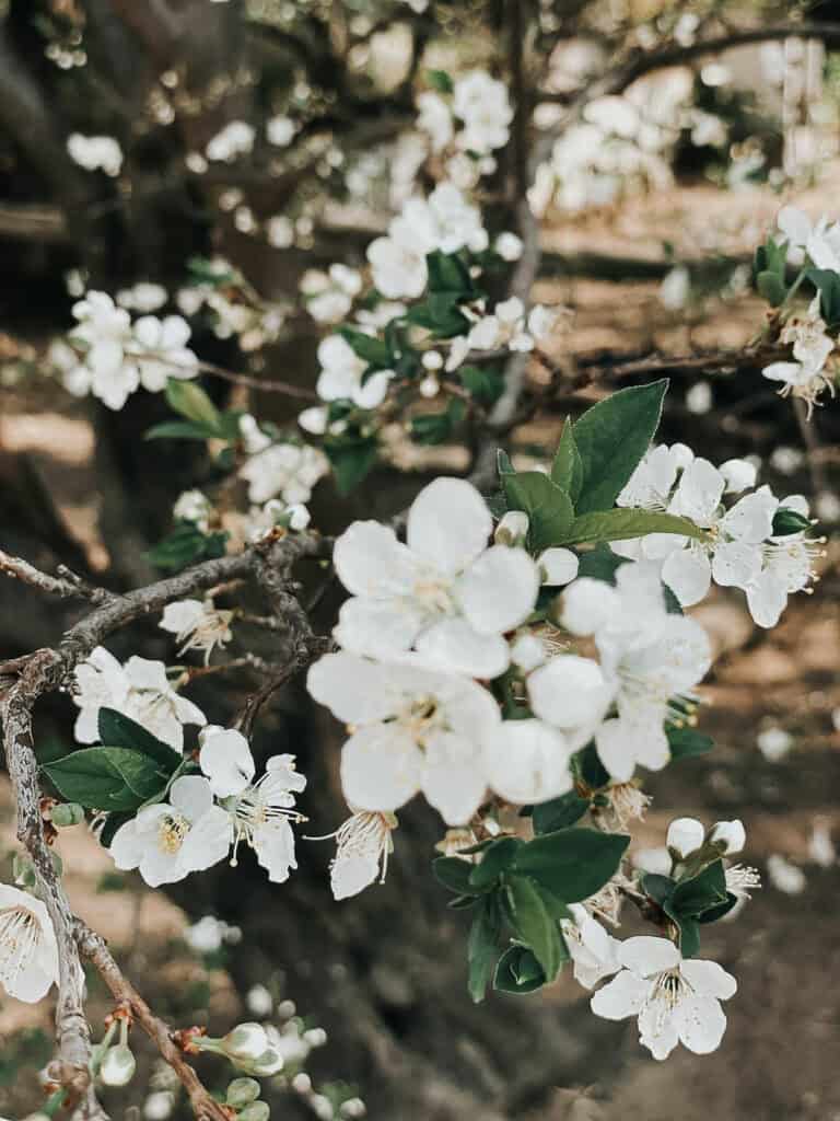 Image #1 from Chris H.